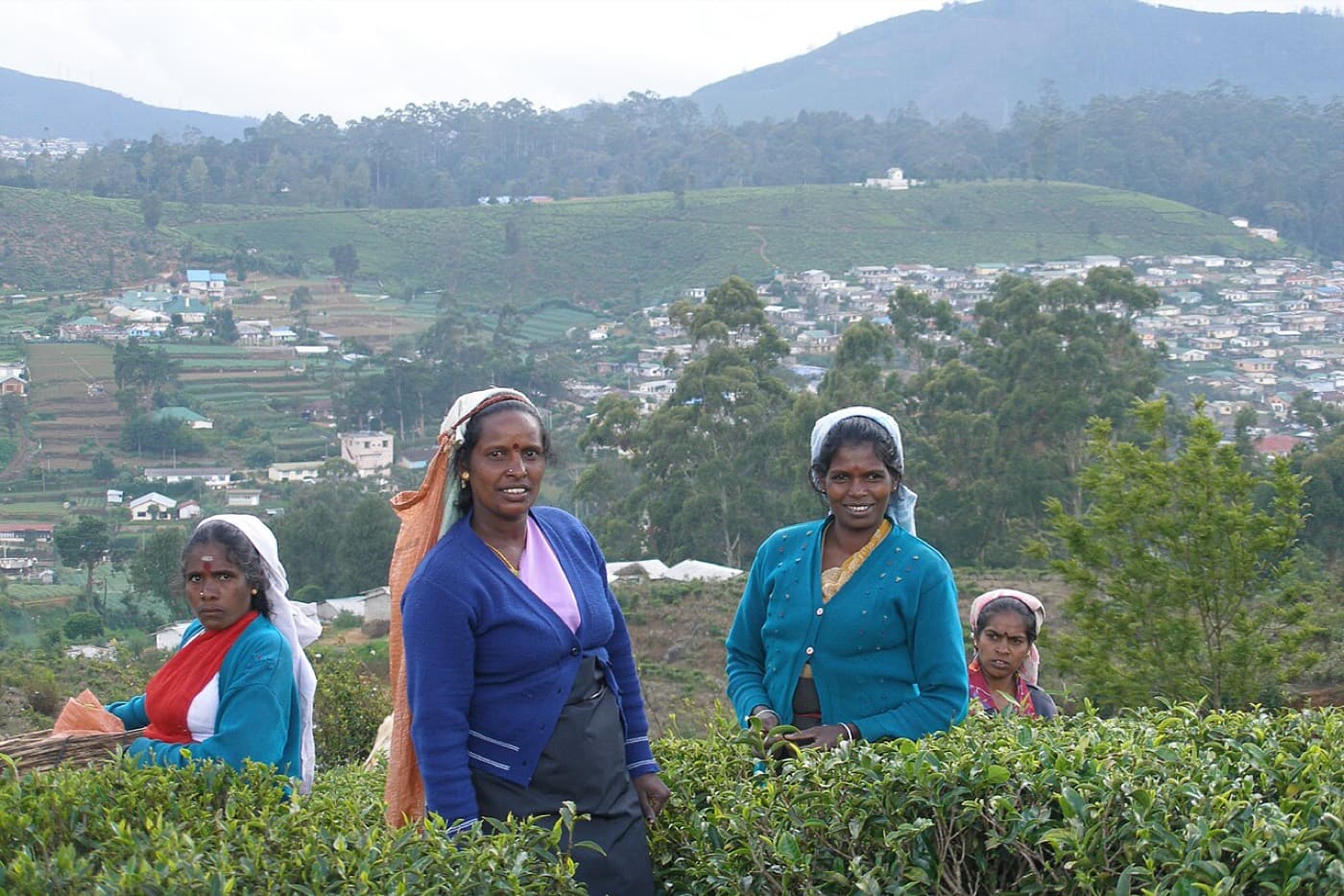 Hill Country Circuit in Kandy